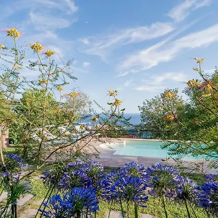 Guesthost - Amazing With Private Parking & Pool *