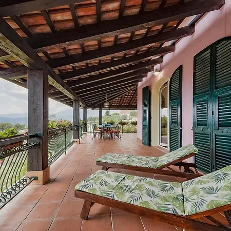 Amazing W/ Private Parking & Pool