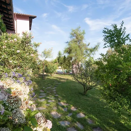 Amazing W/ Private Parking & Pool